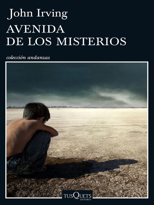 Title details for Avenida de los Misterios by John Irving - Available